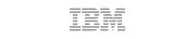 partner IBM